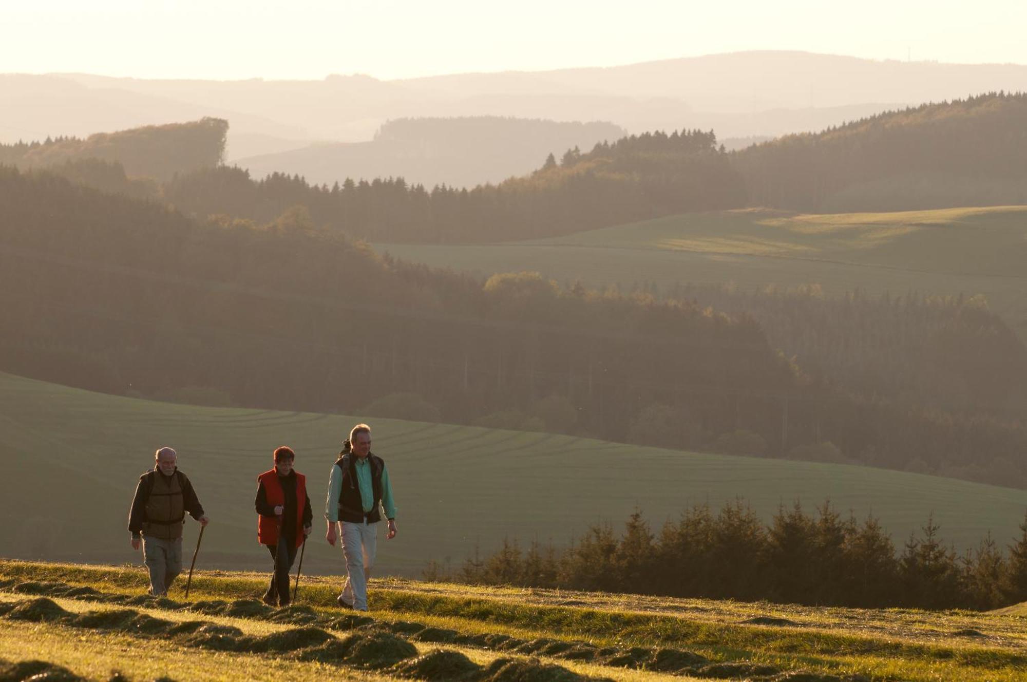 Wuellner'S Landgasthof Schmallenberg Exteriör bild