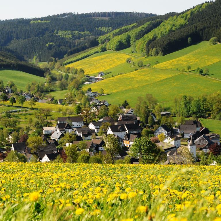 Wuellner'S Landgasthof Schmallenberg Exteriör bild